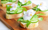 sandwich snack edible flowers